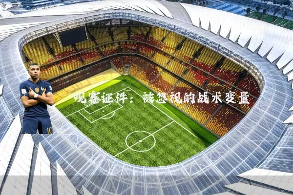 观赛证件：被忽视的战术变量